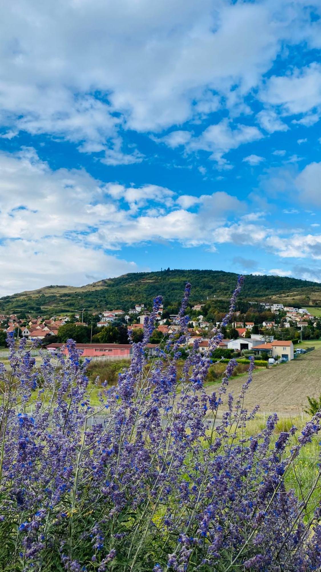 โรงแรมเบสต์ เวสเทิร์น พลัส เฌอร์โกวี Perignat-les-Sarlieve ภายนอก รูปภาพ